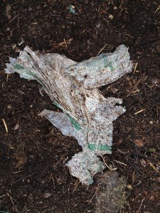 Die angeblich kompostierbaren Tüten von Rewe nach mehreren Jahren im Biomüll.
